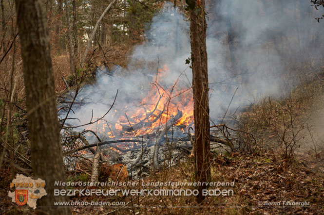 20230119 Ein unangemeldetes Feuerheizen löste Waldbrandalarm in Pottenstein aus  Foto: Bernd Taxberger BFK Presseteam