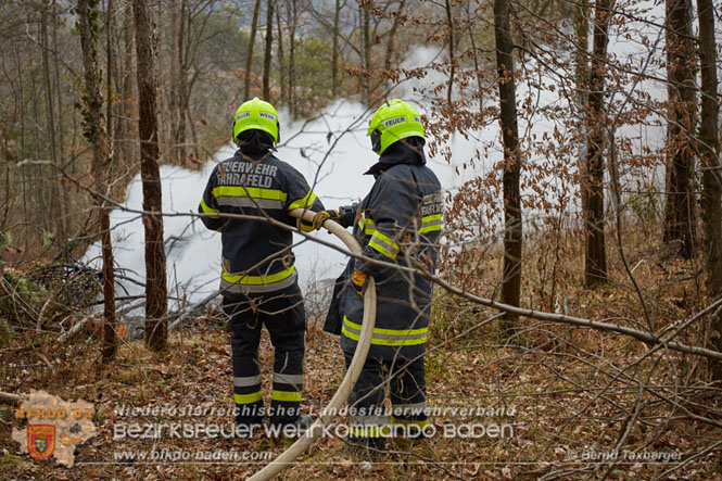 20230119 Ein unangemeldetes Feuerheizen lste Waldbrandalarm in Pottenstein aus  Foto: Bernd Taxberger BFK Presseteam