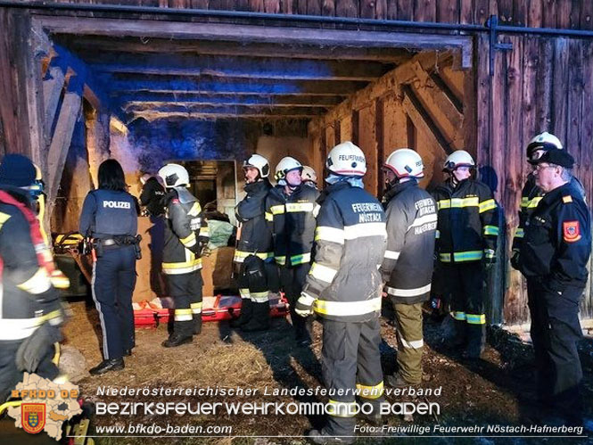 20230202 Personenrettung nach Arbeitsunfall in Nstach/Hafnerberg   Foto: Freiwillige Feuerwehr Nstach/Hafnerberg
