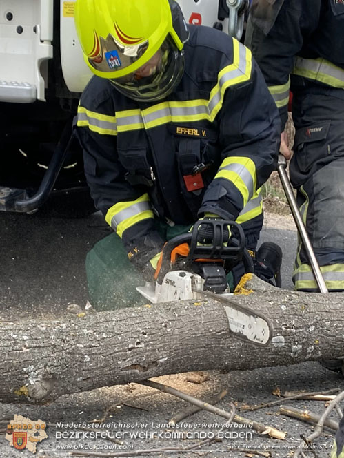 20230305 Menschenrettung nach Fahrzeugberschlag auf der L2085  Foto: Freiwillige Feuerwehr Mllersdorf