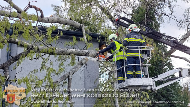 20230327 Strumschaden - Groer Ast strzt auf Hallendach in Enzesfeld   Foto: Freiwillige Feuerwehr Enzesfeld