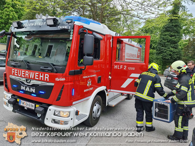 20230507 Feuerwehr befreit Biber aus Notlage in Baden  Foto: Freiwillige Feuerwehr Baden-Stadt