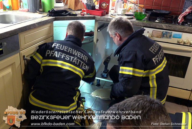20240106_Feuerwehr rettet „Carlo" in Pfaffstätten aus Küchenzeile  Foto: Stefan Schneider BFKDO BADEN