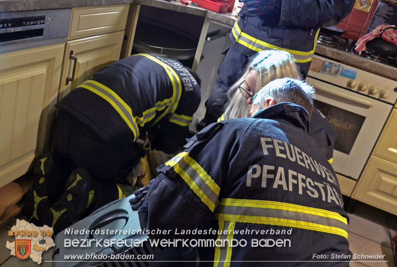 20240106_Feuerwehr rettet „Carlo" in Pfaffstätten aus Küchenzeile  Foto: Stefan Schneider BFKDO BADEN