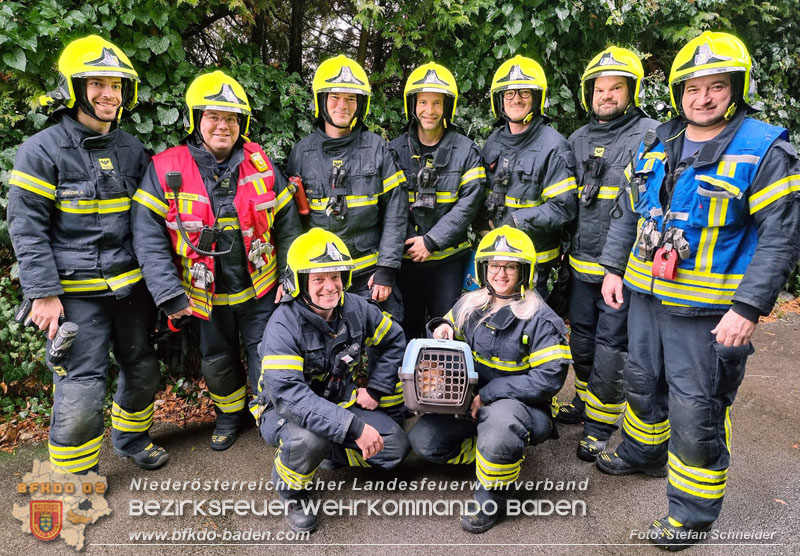 20240106_Feuerwehr rettet „Carlo" in Pfaffstätten aus Küchenzeile  Foto: Stefan Schneider BFKDO BADEN