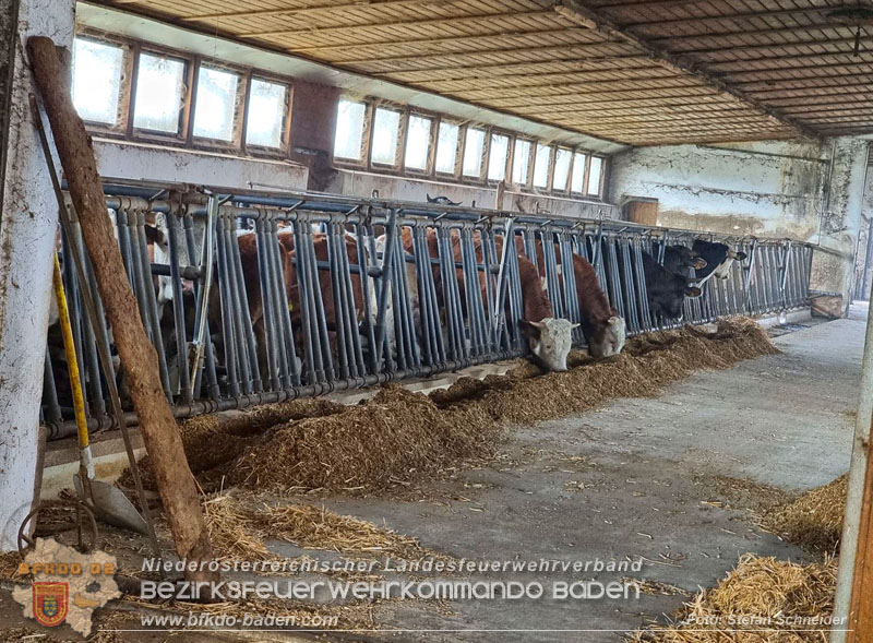 20240208 Brand in einem landwirtschaftlichen Objekt in Reisenberg Foto: Stefan Schneider BFKDO BADEN 20240208 Brand in einem landwirtschaftlichen Objekt in Reisenberg Foto: Stefan Schneider BFKDO BADEN