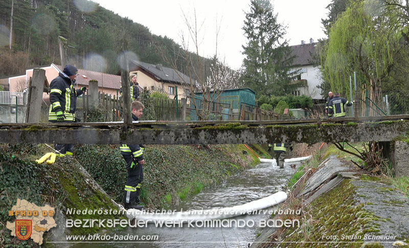 20240312 Gewsserverunreinigung in Berndorf-Veitsau  Foto: Stefan Schneider BFKDO BADEN