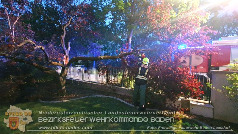 20240410 Nchtlicher Sturm sorgt fr Feuerwehreinstze  Foto: Freiwillige Feuerwehr Baden-Leesdorf