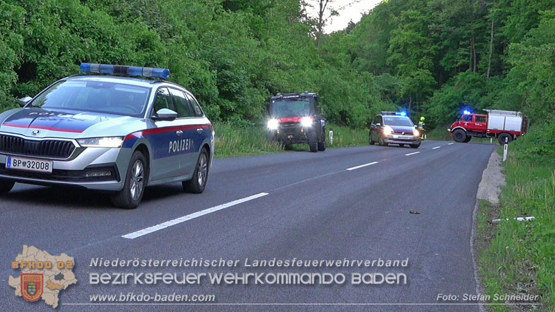 20240430 Alarmierte Personenrettung auf der L4010 zwischen Pfaffsttten und Gaaden  Foto: Stefan Schneider BFKDO BADEN