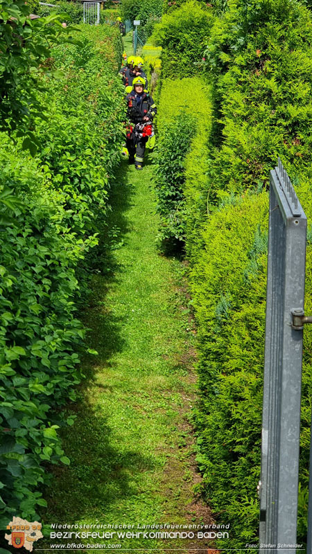 20240616 Vollbrand einer Gartenhütte in Kleingartensiedlung in Baden Foto: Stefan Schneider BFKDO BADEN 20240616 Vollbrand einer Gartenhütte in Kleingartensiedlung in Baden Foto: Stefan Schneider BFKDO BADEN