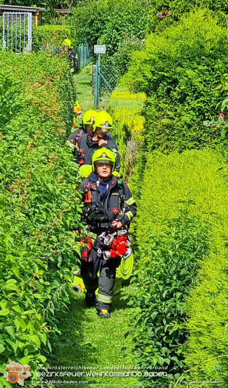 20240616 Vollbrand einer Gartenhütte in Kleingartensiedlung in Baden Foto: Stefan Schneider BFKDO BADEN 20240616 Vollbrand einer Gartenhütte in Kleingartensiedlung in Baden Foto: Stefan Schneider BFKDO BADEN