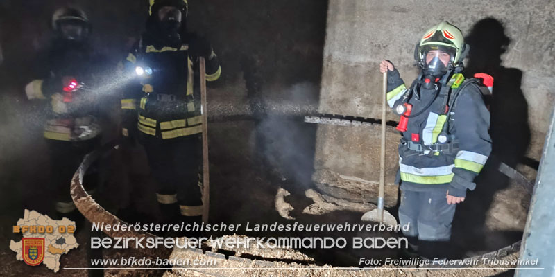 20241228_Stundenlanger Einsatz bei erneutem Silobrand im IZ Tribuswinkel Foto: FF Tribuswinkel 20241228_Stundenlanger Einsatz bei erneutem Silobrand im IZ Tribuswinkel Foto: FF Tribuswinkel
