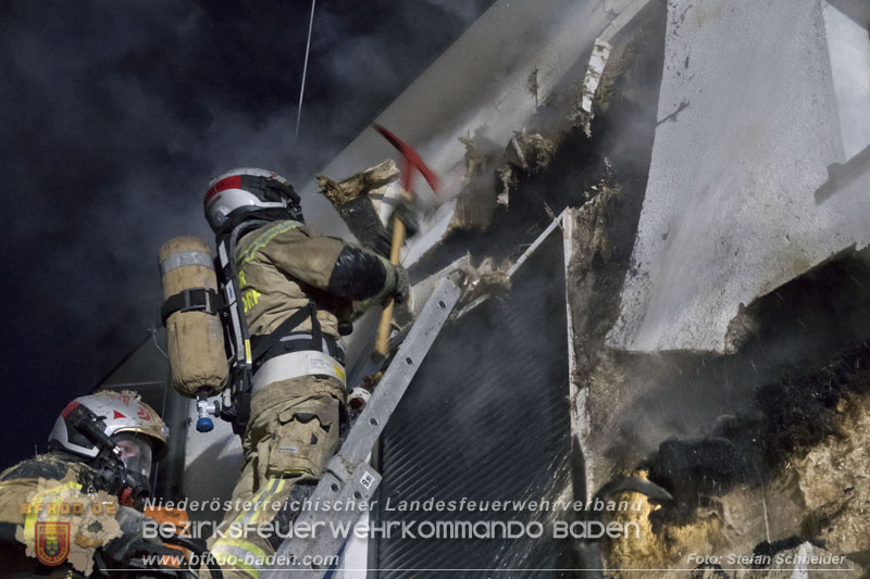 20250210_Fassadenbrand in Unterwaltersdorf sorgte für Großeinsatz Foto: Stefan Schneider BFKDO BADEN 20250210_Fassadenbrand in Unterwaltersdorf sorgte für Großeinsatz Foto: Stefan Schneider BFKDO BADEN