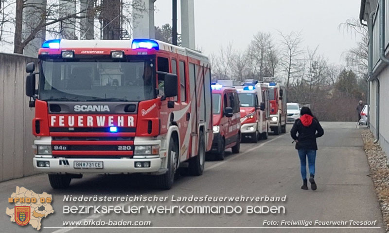 20250213_Brand in einer elektrischen Anlage auf einem Firmengelnde in Blumau-Neurihof  Foto: FF Teesdorf