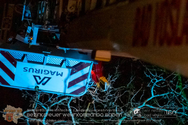 20250215_Feuerwehr rettet Turmfalke aus Baum im Vslauer Schlopark  Foto: FF Stadt Bad Vslau