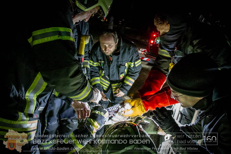 20250215_Feuerwehr rettet Turmfalke aus Baum im Vslauer Schlopark  Foto: FF Stadt Bad Vslau