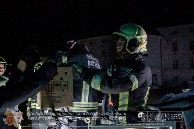 20250215_Feuerwehr rettet Turmfalke aus Baum im Vslauer Schlopark  Foto: FF Stadt Bad Vslau