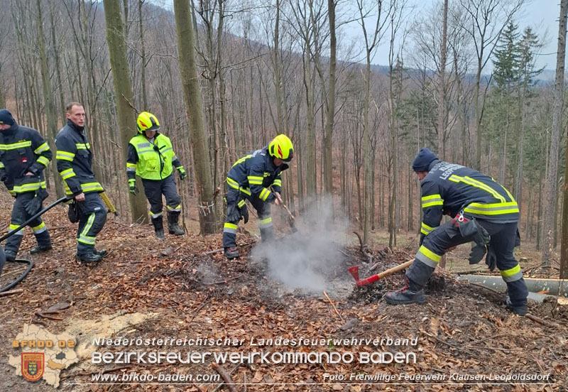 20250223_Aufmerksamer Wanderer verhindert Waldbrand in Klausen-Leopoldsdorf   Foto: FF Klausen-Leopoldsdorf