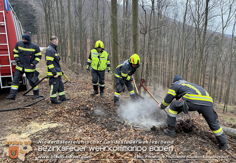 20250223_Aufmerksamer Wanderer verhindert Waldbrand in Klausen-Leopoldsdorf   Foto: FF Klausen-Leopoldsdorf