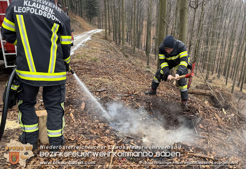 20250223_Aufmerksamer Wanderer verhindert Waldbrand in Klausen-Leopoldsdorf   Foto: FF Klausen-Leopoldsdorf