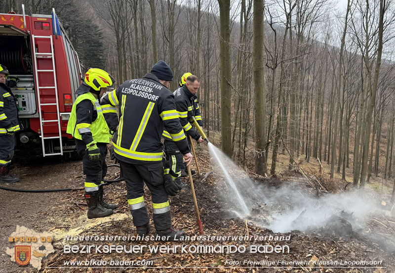 20250223_Aufmerksamer Wanderer verhindert Waldbrand in Klausen-Leopoldsdorf Foto: FF Klausen-Leopoldsdorf