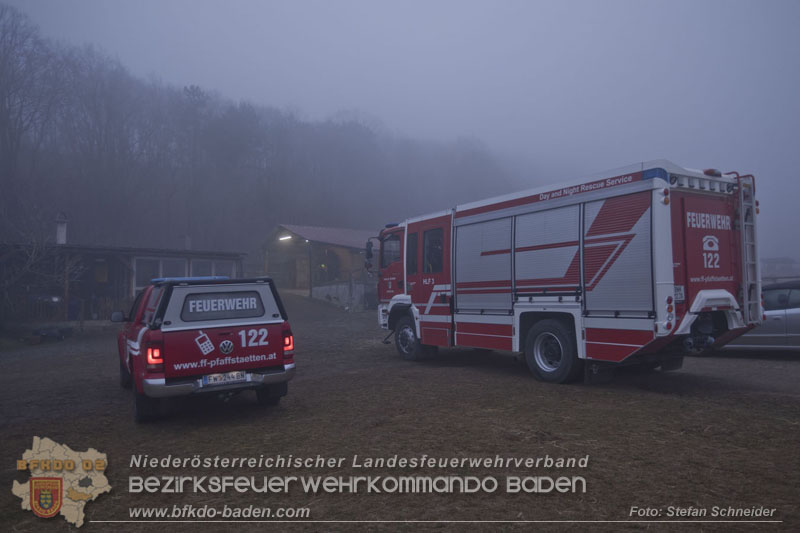 20250225_Feuerwehr Pfaffstätten unterstützt „SAMMY" beim Aufstehen! Foto: Stefan Schneider BFKDO BADEN 20250225_Feuerwehr Pfaffstätten unterstützt „SAMMY" beim Aufstehen! Foto: Stefan Schneider BFKDO BADEN
