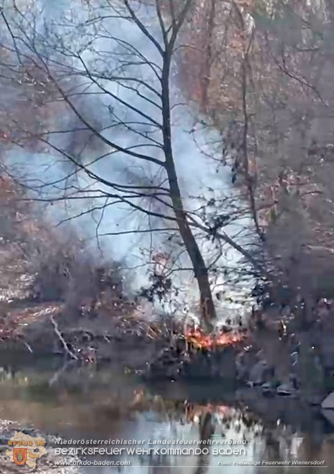 20250302_Flurbrand im Traiskirchner Augebiet   Foto: Hanser FF Wienersdorf