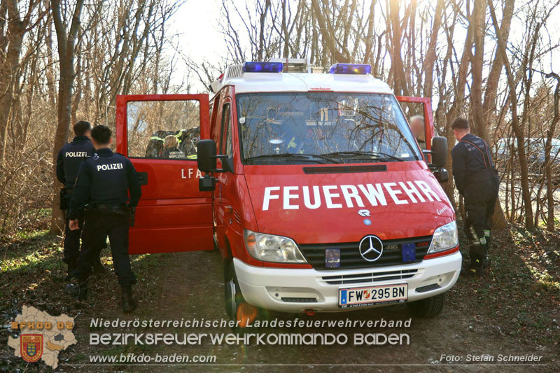 20250302_Flurbrand im Traiskirchner Augebiet   Foto: Stefan Schneider BFKDO BADEN