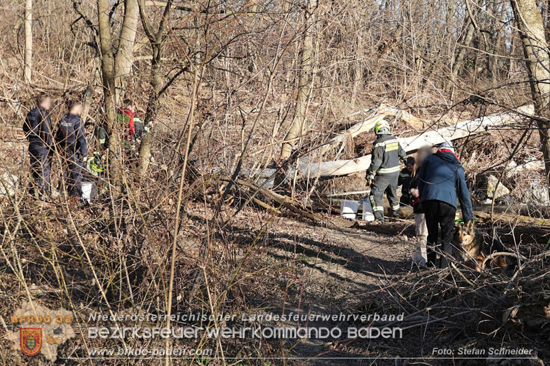 20250302_Flurbrand im Traiskirchner Augebiet   Foto: Stefan Schneider BFKDO BADEN