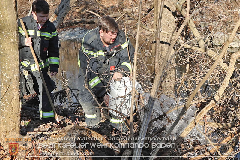 20250302_Flurbrand im Traiskirchner Augebiet   Foto: Stefan Schneider BFKDO BADEN