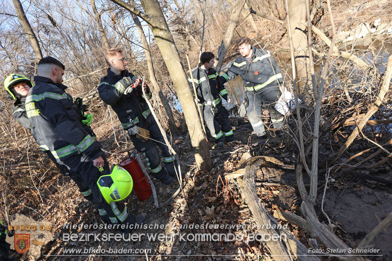 20250302_Flurbrand im Traiskirchner Augebiet   Foto: Stefan Schneider BFKDO BADEN