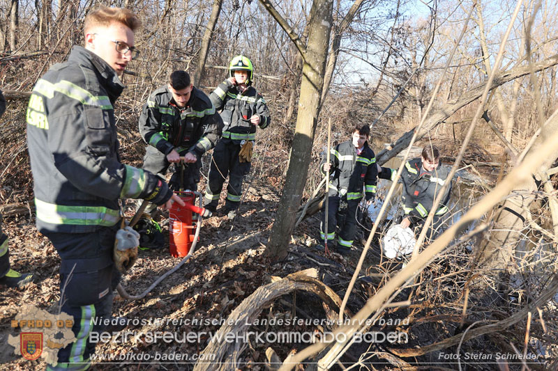 20250302_Flurbrand im Traiskirchner Augebiet   Foto: Stefan Schneider BFKDO BADEN