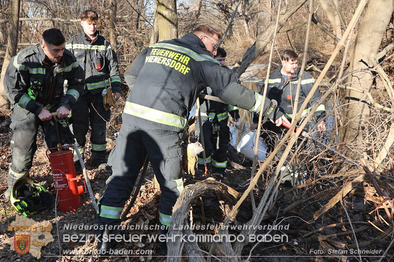 20250302_Flurbrand im Traiskirchner Augebiet   Foto: Stefan Schneider BFKDO BADEN