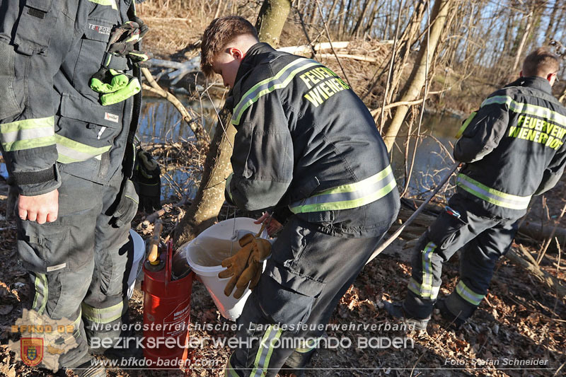 20250302_Flurbrand im Traiskirchner Augebiet   Foto: Stefan Schneider BFKDO BADEN