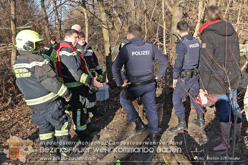 20250302_Flurbrand im Traiskirchner Augebiet   Foto: Stefan Schneider BFKDO BADEN