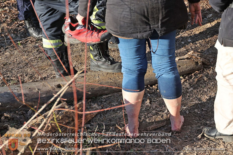 20250302_Flurbrand im Traiskirchner Augebiet   Foto: Stefan Schneider BFKDO BADEN