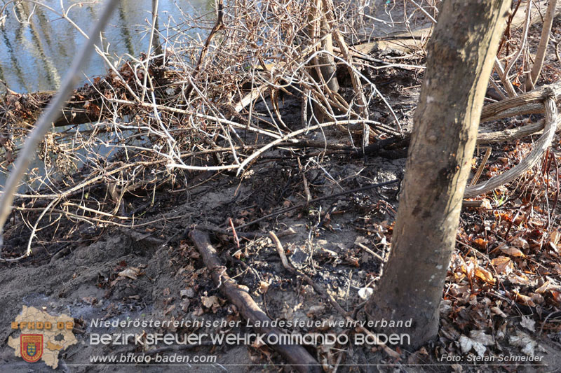 20250302_Flurbrand im Traiskirchner Augebiet   Foto: Stefan Schneider BFKDO BADEN