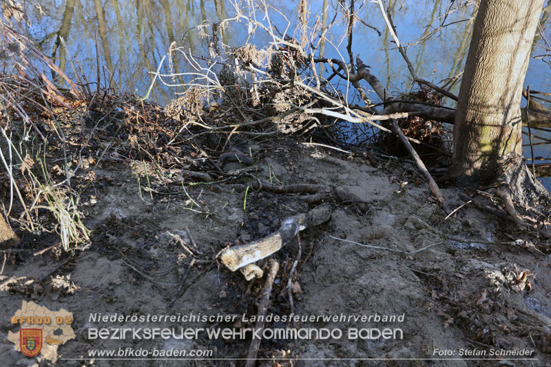 20250302_Flurbrand im Traiskirchner Augebiet   Foto: Stefan Schneider BFKDO BADEN