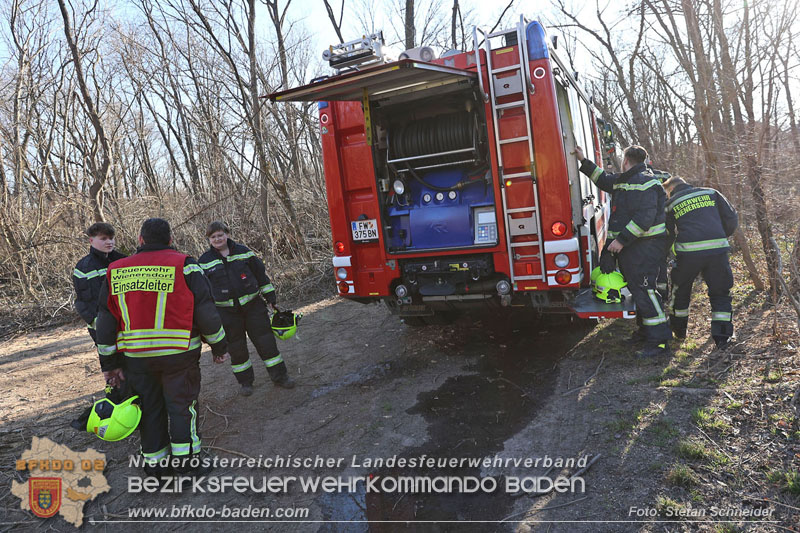 20250302_Flurbrand im Traiskirchner Augebiet   Foto: Stefan Schneider BFKDO BADEN