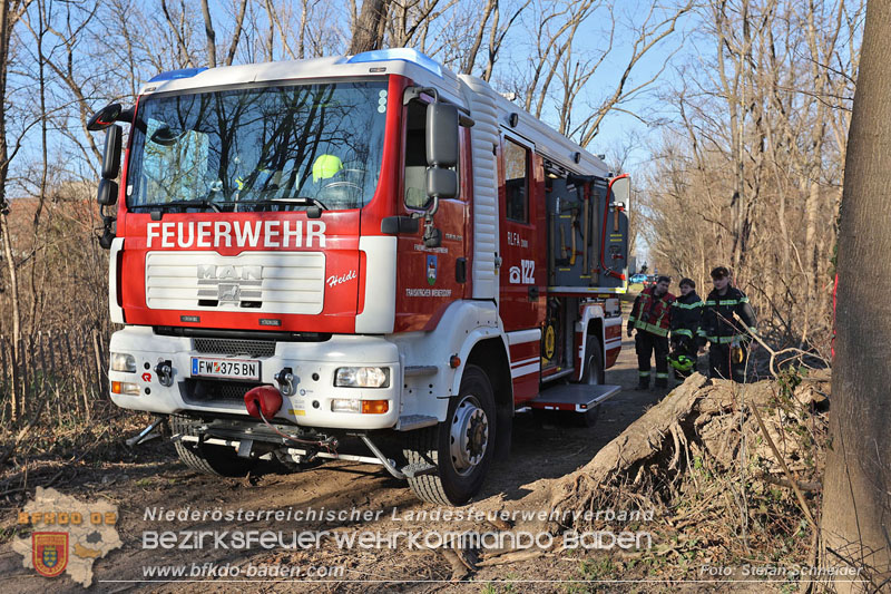20250302_Flurbrand im Traiskirchner Augebiet   Foto: Stefan Schneider BFKDO BADEN