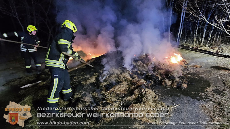 20250307_Brennender Grünschnitthaufen im Schlosspark Tribuswinkel Foto: Freiwillige Feuerwehr Tribuswinkel 20250307_Brennender Grünschnitthaufen im Schlosspark Tribuswinkel Foto: Freiwillige Feuerwehr Tribuswinkel