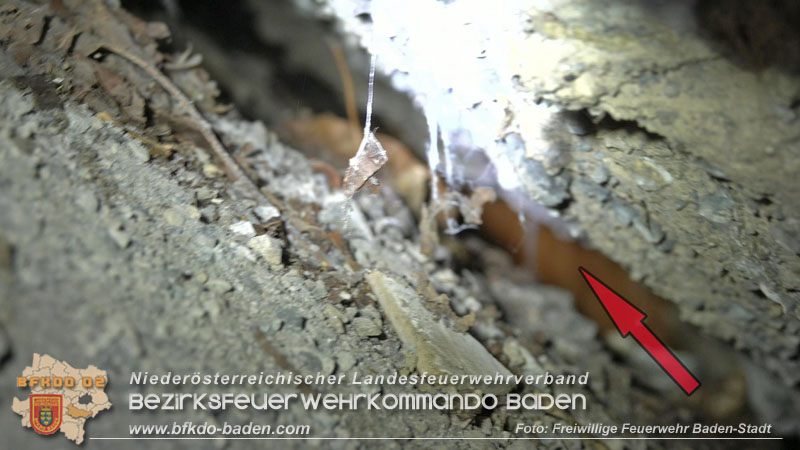 20250310_Feuerwehr befreit Stubentiger „Odin" aus unterirdischem Hohlraum in Baden! Foto: Stefan Schneider FF Baden-Stadt 20250310_Feuerwehr befreit Stubentiger „Odin" aus unterirdischem Hohlraum in Baden! Foto: Stefan Schneider FF Baden-Stadt