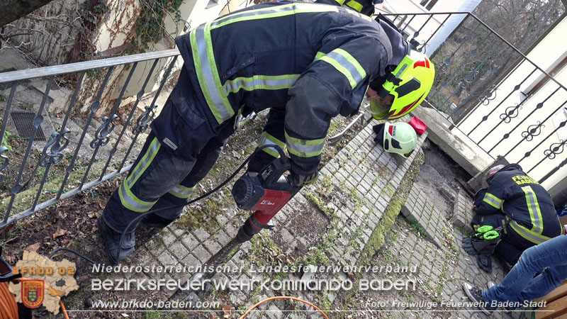 20250310_Feuerwehr befreit Stubentiger „Odin" aus unterirdischem Hohlraum in Baden! Foto: Stefan Schneider FF Baden-Stadt 20250310_Feuerwehr befreit Stubentiger „Odin" aus unterirdischem Hohlraum in Baden! Foto: Stefan Schneider FF Baden-Stadt