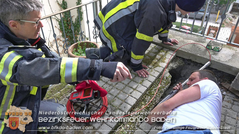 20250310_Feuerwehr befreit Stubentiger „Odin" aus unterirdischem Hohlraum in Baden! Foto: Stefan Schneider FF Baden-Stadt 20250310_Feuerwehr befreit Stubentiger „Odin" aus unterirdischem Hohlraum in Baden! Foto: Stefan Schneider FF Baden-Stadt