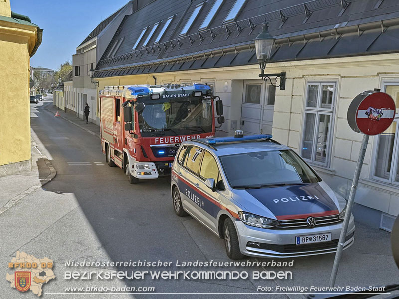 20250404_Feuerwehr rettet zwei Katzen aus Brandwohnung in Baden   Foto: Stefan Schneider FF Baden-Stadt