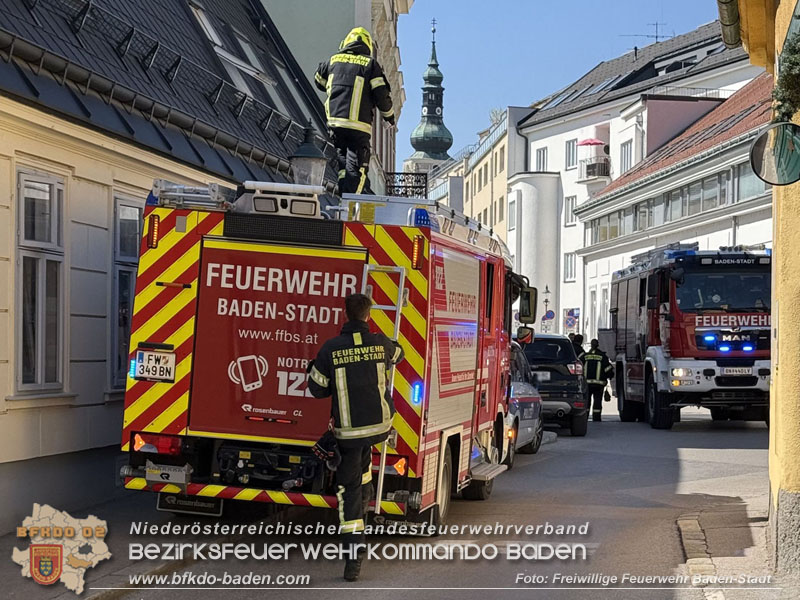 20250404_Feuerwehr rettet zwei Katzen aus Brandwohnung in Baden   Foto: Stefan Schneider FF Baden-Stadt