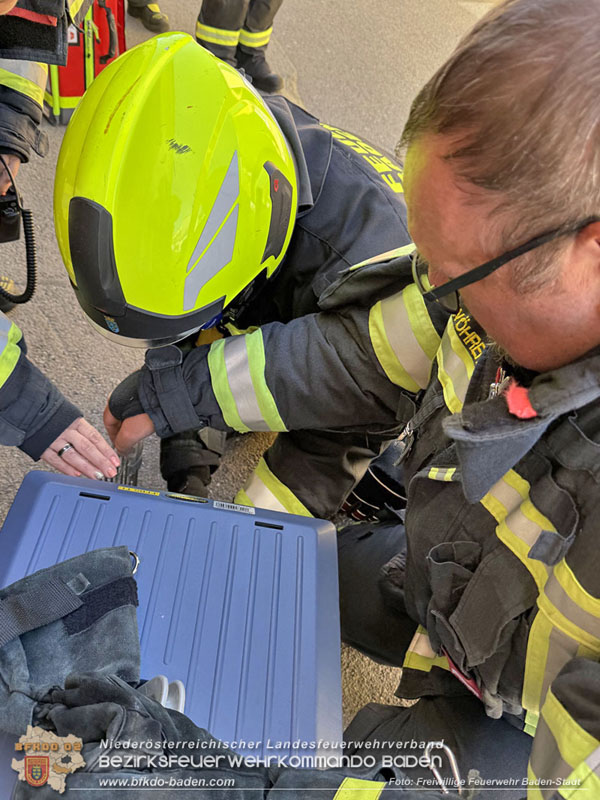 20250404_Feuerwehr rettet zwei Katzen aus Brandwohnung in Baden   Foto: Stefan Schneider FF Baden-Stadt