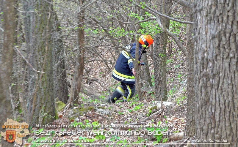 20250405_Kletterunfall im Helenental bei Sattelbach Gemeinde Heiligenkreuz   Foto: Stefan Schneider BFKDO BADEN