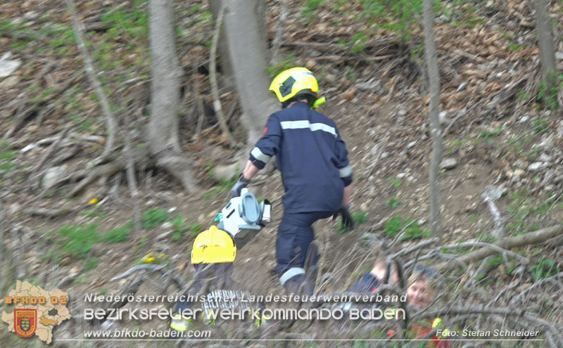 20250405_Kletterunfall im Helenental bei Sattelbach Gemeinde Heiligenkreuz   Foto: Stefan Schneider BFKDO BADEN