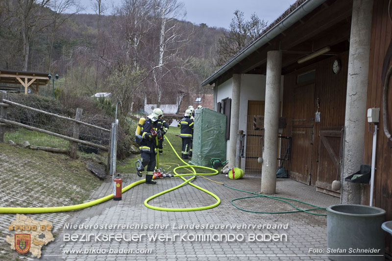 20250405_Brand auf dem Areal eines Pferdehofs in Maria Raisenmarkt Gemeinde Alland Foto: Stefan Schneider BFKDO BADEN 20250405_Brand auf dem Areal eines Pferdehofs in Maria Raisenmarkt Gemeinde Alland Foto: Stefan Schneider BFKDO BADEN